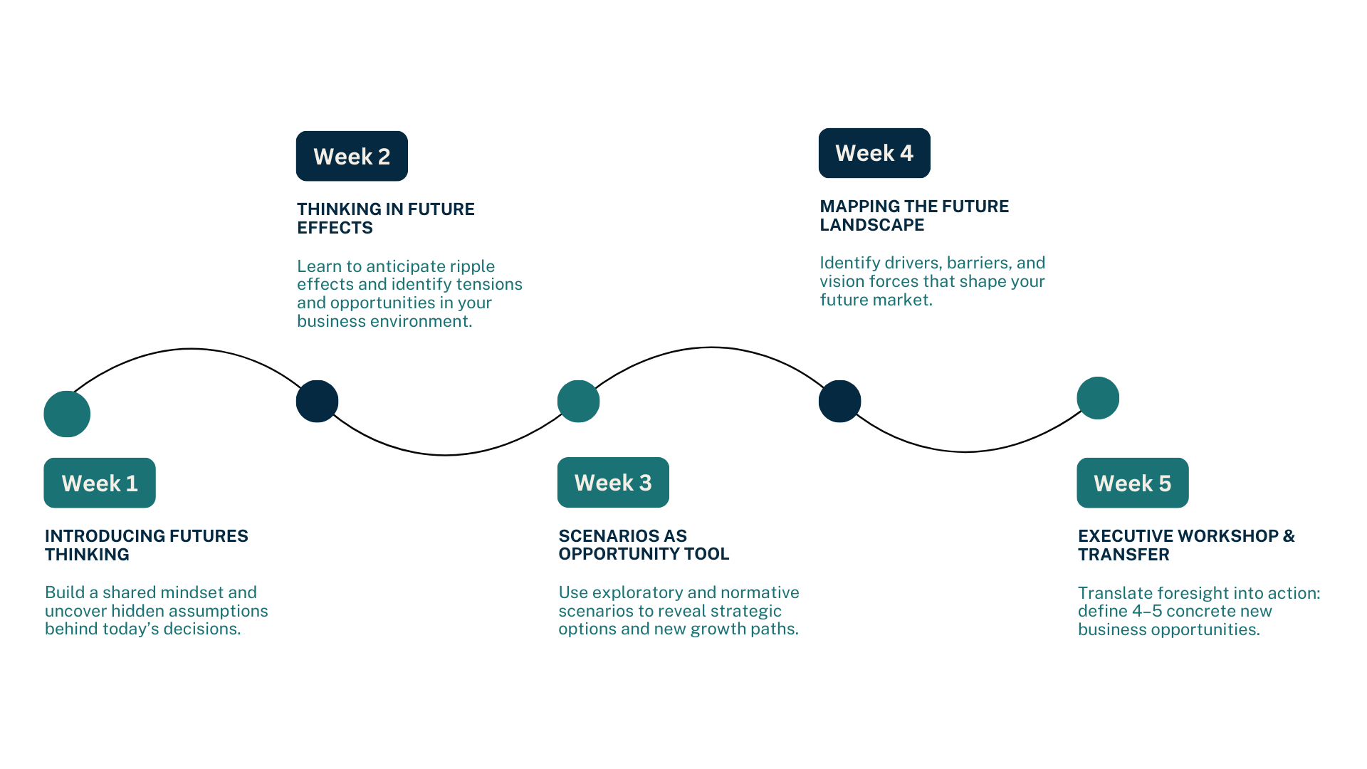 Zeitlicher Ablauf des Konzepts